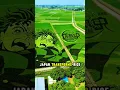 Download Lagu This Rice Field Turns Into a Cartoon!
