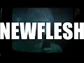 NEWFLESH - dev diary 1