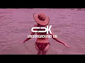 Shouse - Love Tonight (Danny Avila & Crusy Remix)