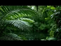 Soothing Rain on Fern Leaves | Tropical Foliage Rain ASMR for Deep Sleep & Relaxation