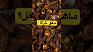 ماهو القرنفل القرنفل وفوايده 