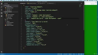 15 Adding webpack dev server