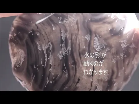 水入り瑪瑙 原石 磨き 44.6g｜天然石 原石 通販 キラリ石