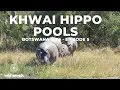 Lagu Botswana 2025 | Episode 5 – Khwai Hippo Pools (Part 1)