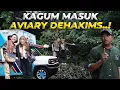 Lagu JAJAGO KELILING INDONESIA TERKEJUT MASUK KEDALAM AVIARY! BERASA MASUK HUTAN!
