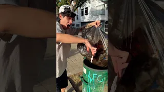 Me encontré esto en la basura 🤢