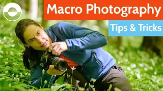 Download Macro Photography Tips and Tricks! (Camera Settings, Equipment, Diffuser + Mirror Hack!) MP3