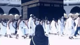 وخدوني والله معاكم يا زوار النبي بدون موسيقي اميرة كويس  وخدوني والله معاكم يا زوار النبي بدون موسيقي اميرة كويس