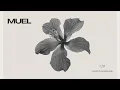 Download Lagu MUEL #29: Afterwork Rhythms Mix | Chill Melodic Techno for Friday Nights