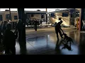 Prescott Valley Police show off their new K9s