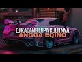Download Lagu DJ KACANG LUPA KULITNYA || DJ IBARAT KAN KACANG LUPA PADA KULITNYA REMIX FULL BASS
