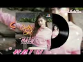Download Lagu Halu (DN2S House Mix) - Selly Sel #audio