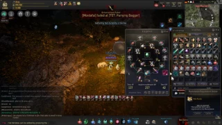 BDO Hedgehog Pet Special Gathering Procs