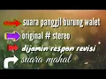 Download Lagu Suara panggil burung walet Dijamin respon Revisi dari sp mux3 mux69 dan sp alam