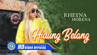 Lirik Lagu Hidung Belang - Rheyna Morena