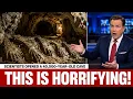Scientists Opened a 40 000-Year-Old Cave What They Found Shocked the World