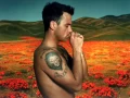 Download Lagu Robbie Williams - Eternity