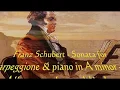Download Lagu Schubert, Sonata for Arpeggione \u0026 Piano (Allegro moderato). Mischa Maisky \u0026 Martha Argerich