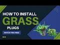 How to Install Grass Plugs