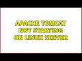 Apache Tomcat not starting on Linux Server