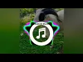 Download Lagu Dj pap padepap Mama Muda keren