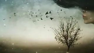 موسيقى مع الكمان والإحساس   اتخنقت دندنها