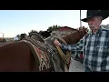 Tack Tip Some Tips for Storing Your Saddle Between Rides