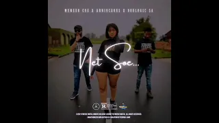 meneer cee x arriecakes x deelogic sa net soe alles wat mal is 