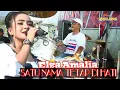 Download Lagu Satu Nama Tetap Di Hati - Elsa Amalia - New Pallapa Live Pangestu