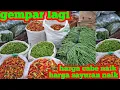 Lagu HARGA CABE DAN SAYURAN HARI INI SEMAKIN NAIK#PASAR INDUK CIBITUNG#15 NOV 2025