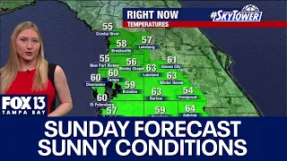 Tampa weather | Sunny conditions on Sunday