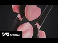 Download Lagu BLACKPINK - NEW OFFICIAL LIGHT STICK SPECIAL EDITION 🩷