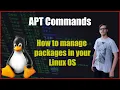 The most used APT commands in Linux
