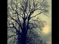 Little bit of rain (Karen Dalton)