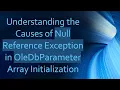 Understanding the Causes of Null Reference Exception in OleDbParameter Array Initialization