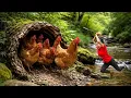 TIMELAPSE -- 226 Days Harvesting Many Giant Forest Chicken by the Stream, to sell at the market.