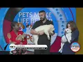 Petland has the most popular dogs and helps families find their furr-ever family member