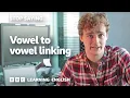 Stop Saying Vowel to vowel linking