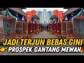 Lagu BUSSSEET‼️ MURAI BATU PROSPEK GANTANG HARGANYA JATUH BEBAS‼️DI GALERY MURAI JAKARTA