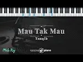Mau Tak Mau - Tsaqib   | KARAOKE PIANO - MALE KEY