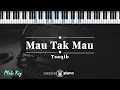 Download Lagu Mau Tak Mau - Tsaqib   | KARAOKE PIANO - MALE KEY