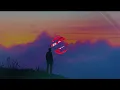 Vicente Fernández - La Diferencia (Letra)