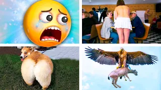 20 Cosas que NO Sabías hace 5 minutos ⏰😲