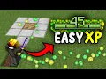 NEW EASIEST XP Farm Minecraft Java 26 21