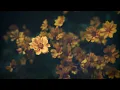Hania Rani - Eden