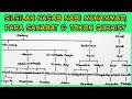 Download Lagu 38) Silsilah Nasab Nabi Muhammad, Para Sahabat, dan Tokoh Quraisy Lainnya