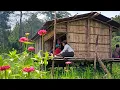 Download Lagu Fur khawthiang // Thlai pawh a thar vanglai a ni chho mek e🍈🌽🥒