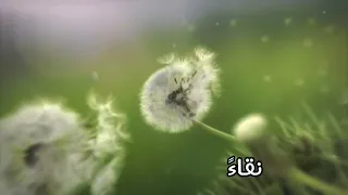 كشوق الليالي لضوء القمر   الوصف فضلا  دندنها