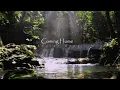 Download Lagu Skylar Grey - Coming Home (𝑺𝒍𝒐𝒘𝒆𝒅 + 𝑹𝒆𝒗𝒆𝒓𝒃)