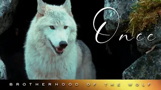 brotherhood of the wolf once 4k tribute